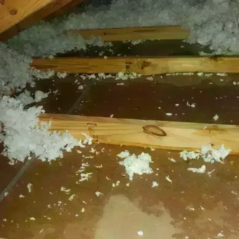 Attic Water Damage in Sartell, MN