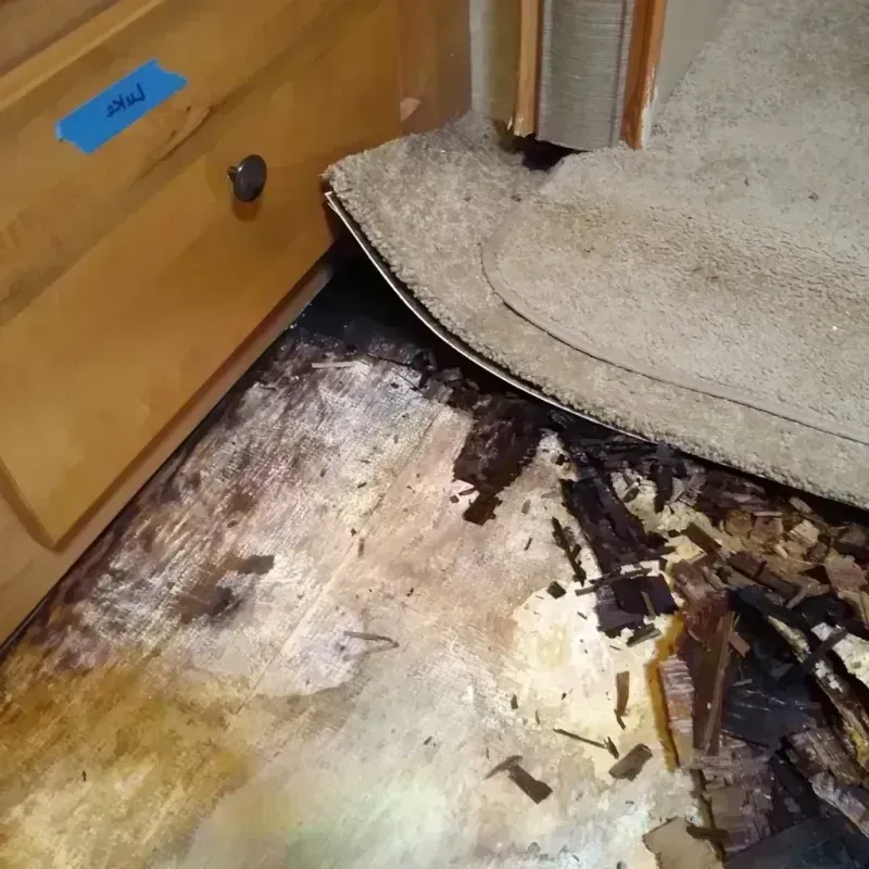 Wood Floor Water Damage in Sartell, MN